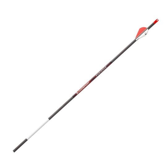 bloodsport-punisher-arrows-350-2-in-vane-6-pk-1