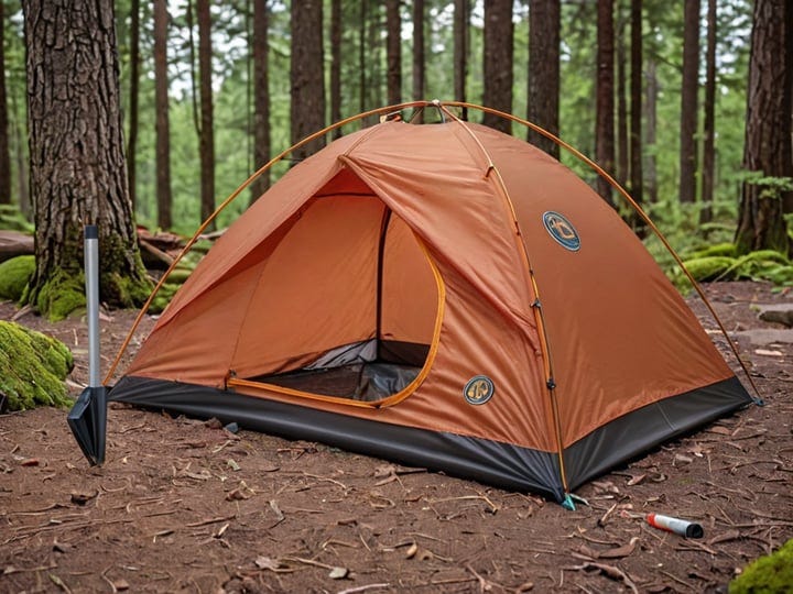 Big-Agnes-Tent-Stakes-2