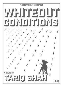 whiteout-conditions-19740-1