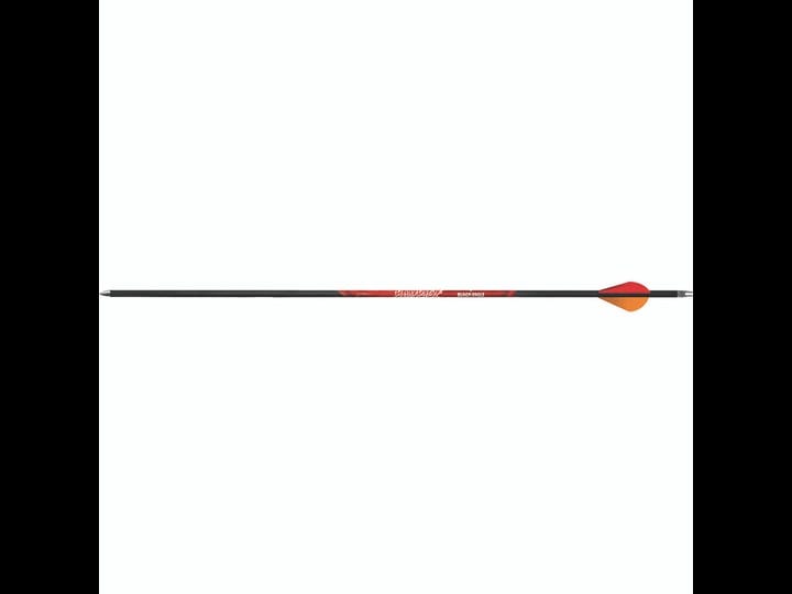 black-eagle-rampage-arrows-001-250-blazer-vanes-6-pk-1