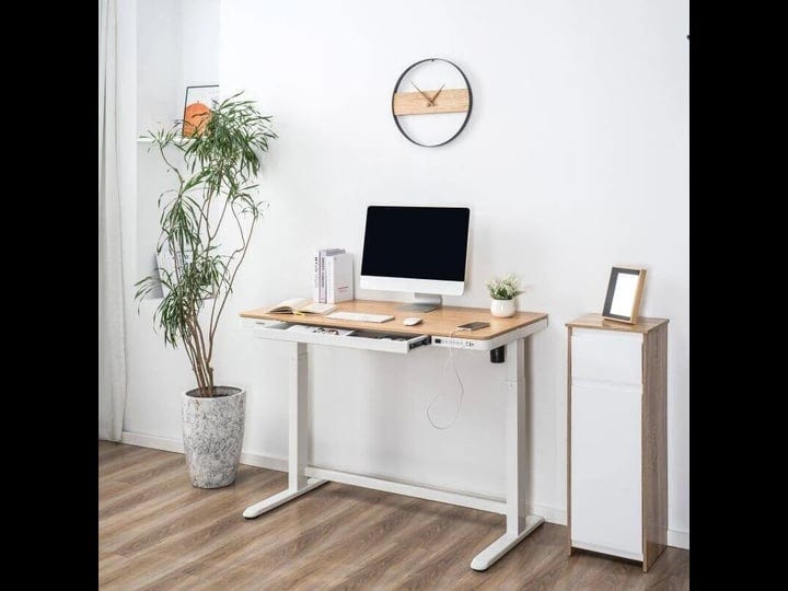 flexispot-home-office-electric-height-adjustable-desk-48-x-24-bamboo-texture-desktop-standing-desk-w-1