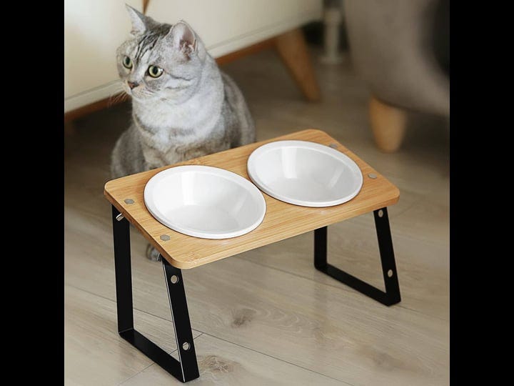 ayada-elevated-cat-bowls-height-adjustable-raised-with-stand-lifted-ergonomic-anti-vomiting-non-slip-1