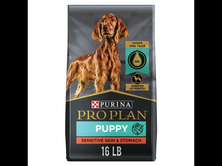 purina-pro-plan-sensitive-skin-stomach-salmon-rice-formula-dry-puppy-food-16-lbs-1