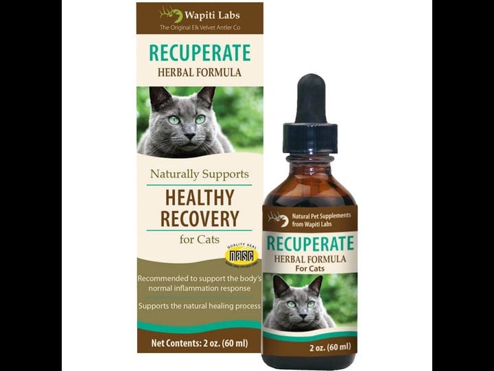 wapiti-labs-cat-recuperate-formula-tinctures-2-oz-1