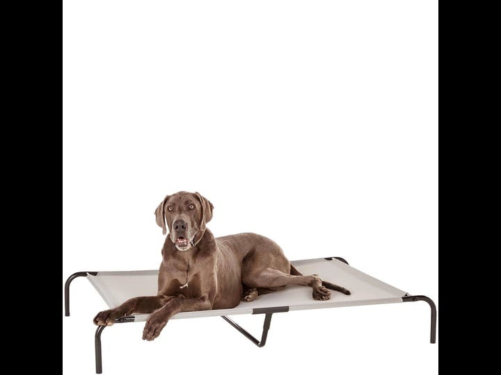 amazonbasics-elevated-cooling-pet-bed-xl-grey-1