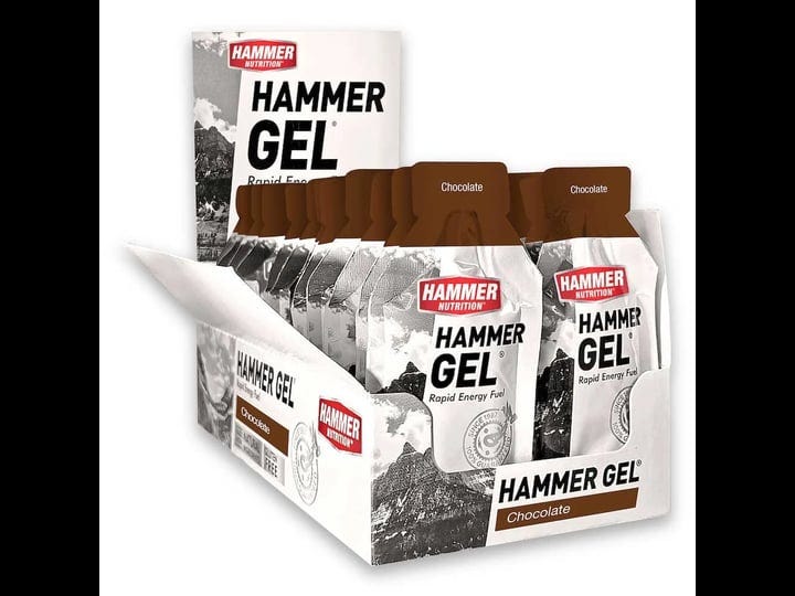 hammer-nutrition-gel-24-pack-chocolate-1