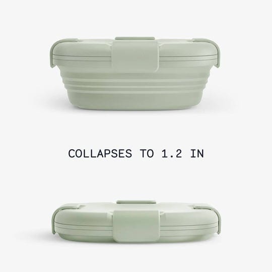 the-container-store-collapsible-sandwich-box-sage-24-oz-1