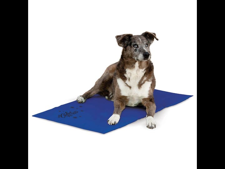 kh-pet-products-coolin-pet-pad-large-blue-1