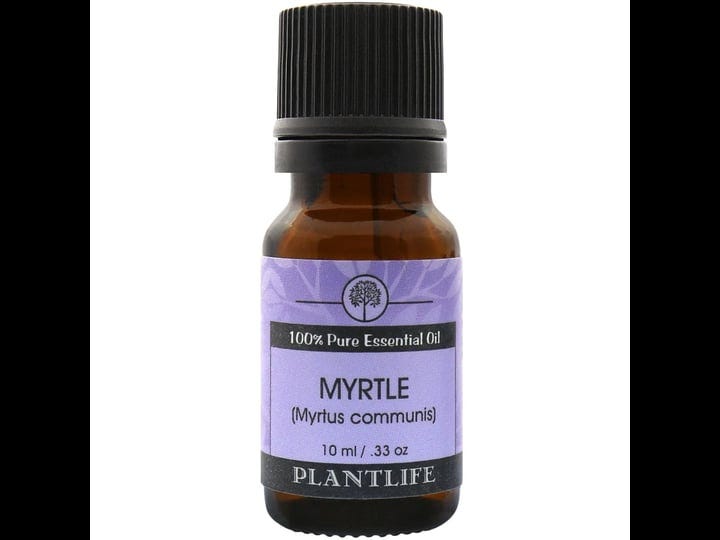 plantlife-myrtle-essential-oil-100-pure-and-natural-therapeutic-grade-10-ml-1