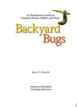 backyard-bugs-43749-1