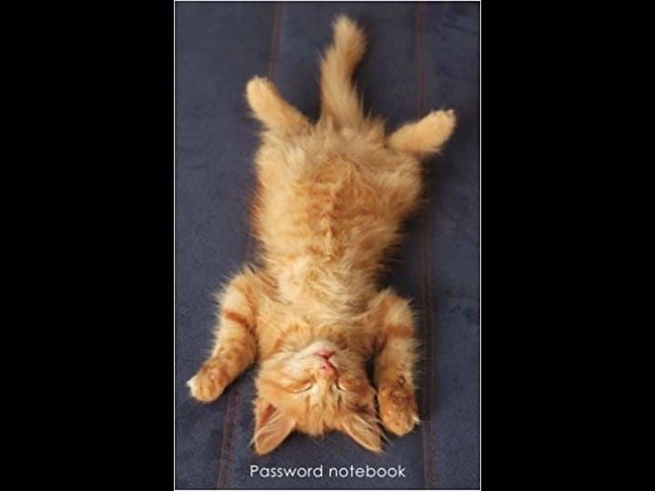 password-notebook-small-internet-address-and-password-logbook-journal-diary-ginger-kitten-chilling-o-1