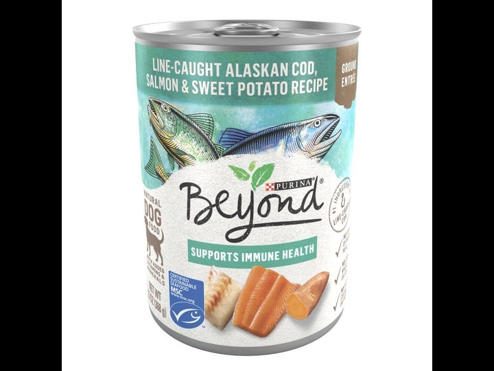beyond-dog-food-line-caught-alaskan-cod-salmon-sweet-potato-recipe-ground-entree-natural-13-oz-1