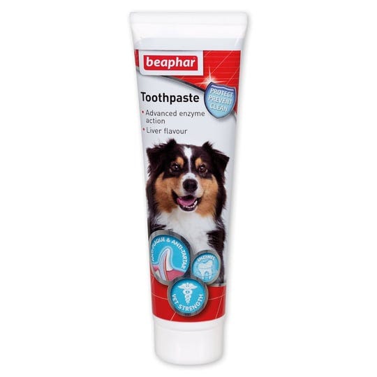 beaphar-toothpaste-for-dogs-and-cats-100g-1