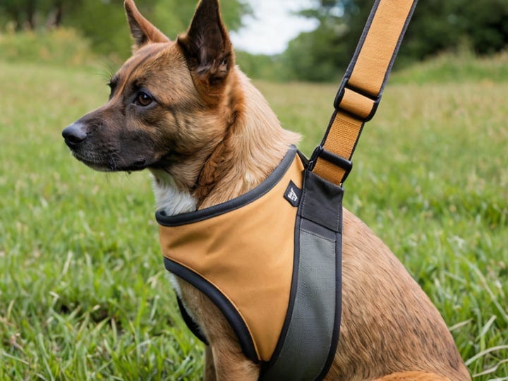 Dog-Carrier-Slings-3