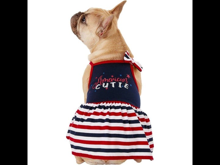 frisco-american-cutie-dog-cat-sundress-medium-1