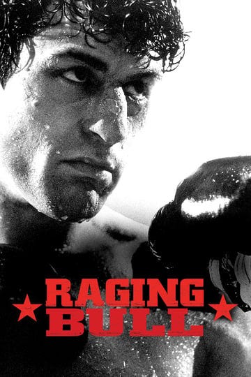 raging-bull-255227-1