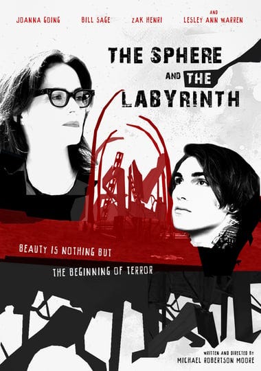 the-sphere-and-the-labyrinth-2037317-1