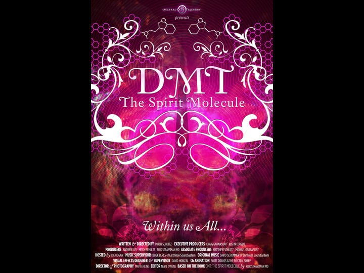 dmt-the-spirit-molecule-1538379-1