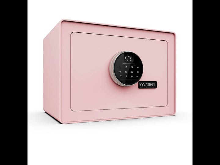 goldenkey-digital-security-safe-and-lock-boxsmall-safe-box-for-money-fingerprint-lockperfect-for-hom-1