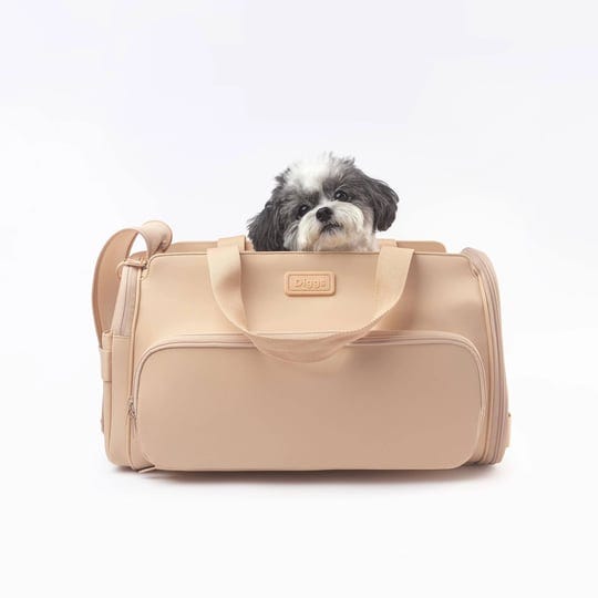 diggs-passenger-travel-carrier-blush-1