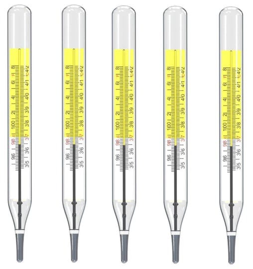seaboom-5-pcs-glass-thermometer-mercury-free-clinic-thermometer-traditional-thermometer-dual-scale-m-1