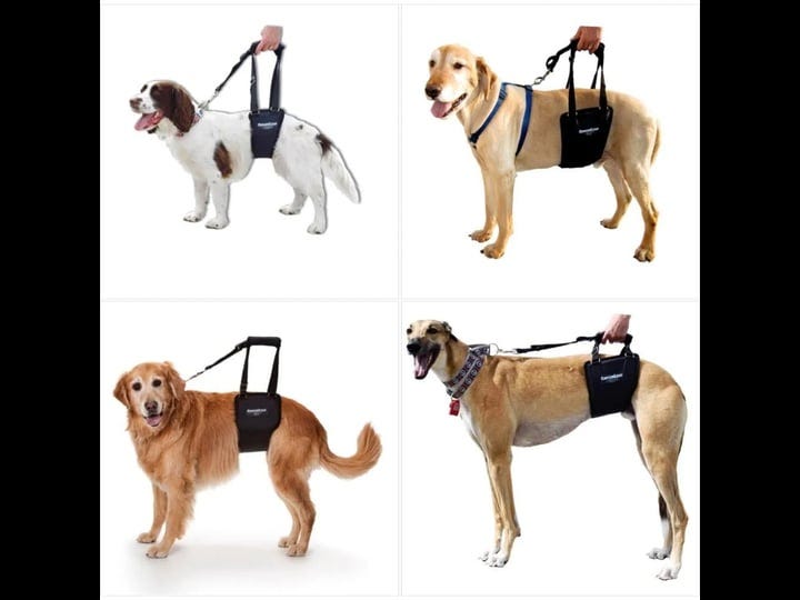 gingerlead-dog-support-rehabilitation-harness-small-male-sling-1