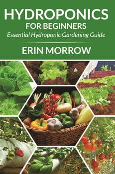 hydroponics-for-beginners-3111456-1