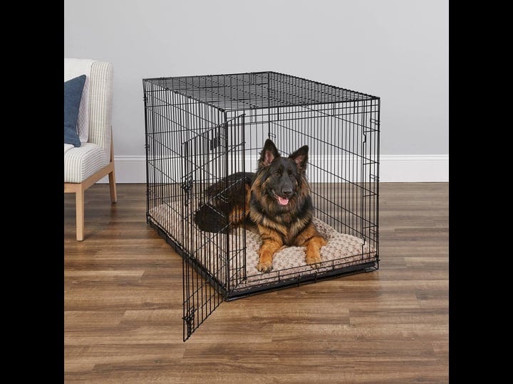 midwest-icrate-folding-single-door-dog-crate-1