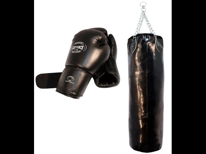 shelter-s104-heavy-duty-pro-boxing-gloves-pro-huge-punching-bag-with-chains-1