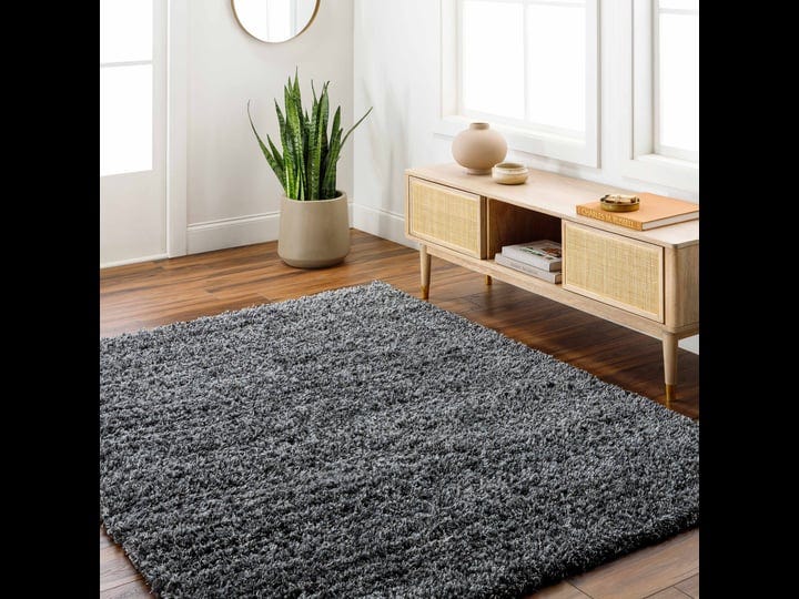 hauteloom-bluma-solid-black-plush-rug-modern-area-rug-for-living-room-bedroom-53-x-7-rectangle-1