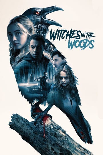 witches-in-the-woods-4434644-1