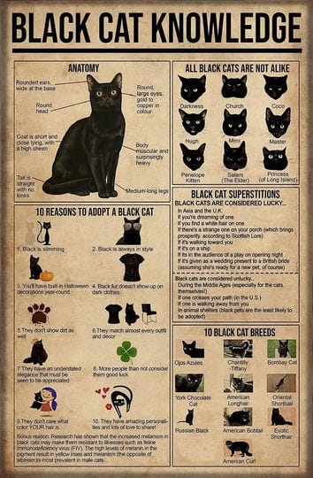 black-cat-knowledge-tin-sign-black-cat-kitchen-decor-poster-cat-smoke-poster-bar-bathroom-bar-garden-1