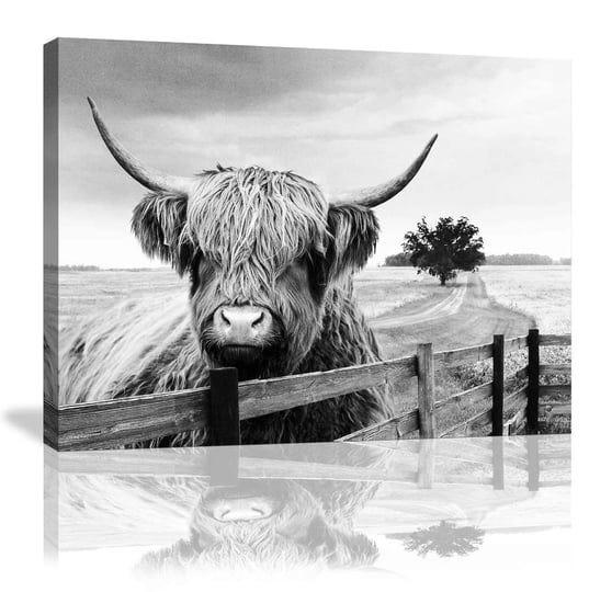 black-and-white-landscape-highland-cow-pasture-hairy-cow-animal-decor-pictures-canvas-wall-art-for-o-1