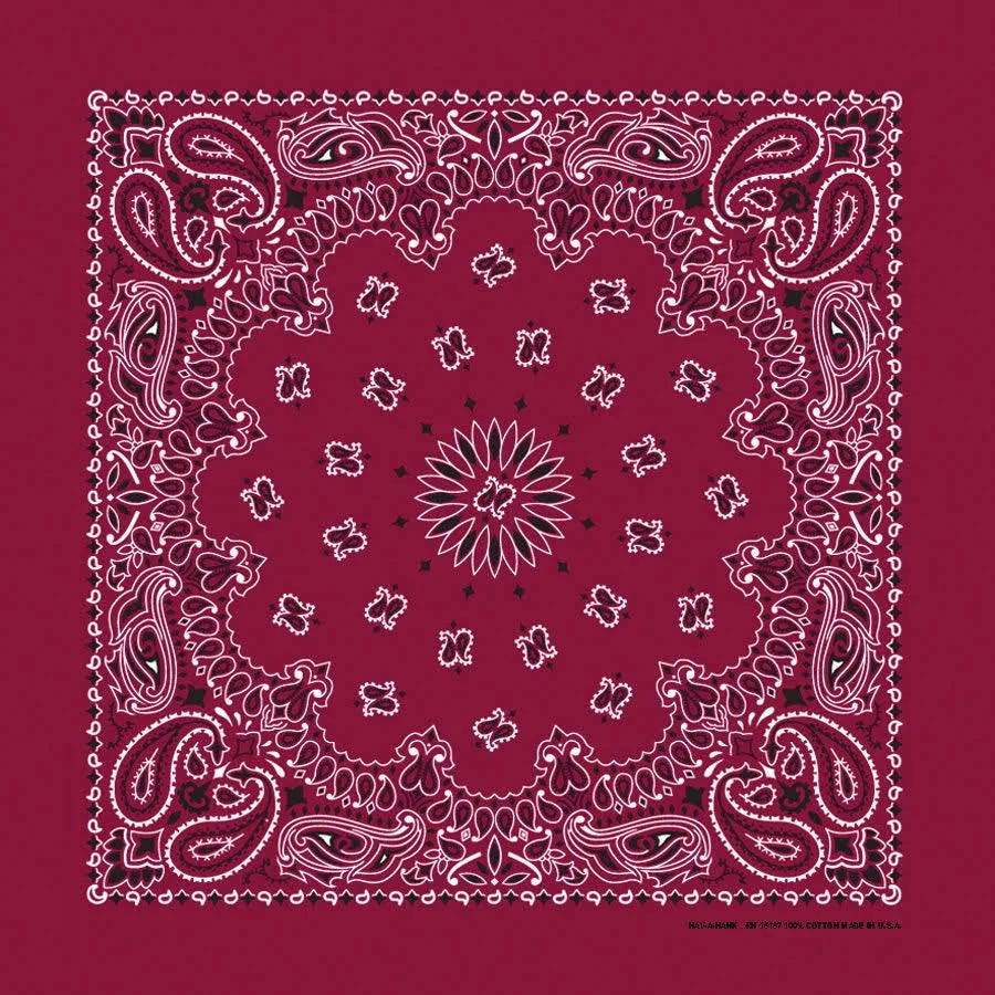 Carolina Creative Paisley Bandana in Burgundy | Image