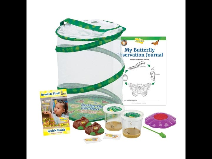 insect-lore-butterfly-garden-original-habitat-and-two-live-cups-of-caterpillars-with-stem-butterfly--1