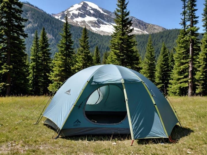 Kelty-Sequoia-4-Tent-2