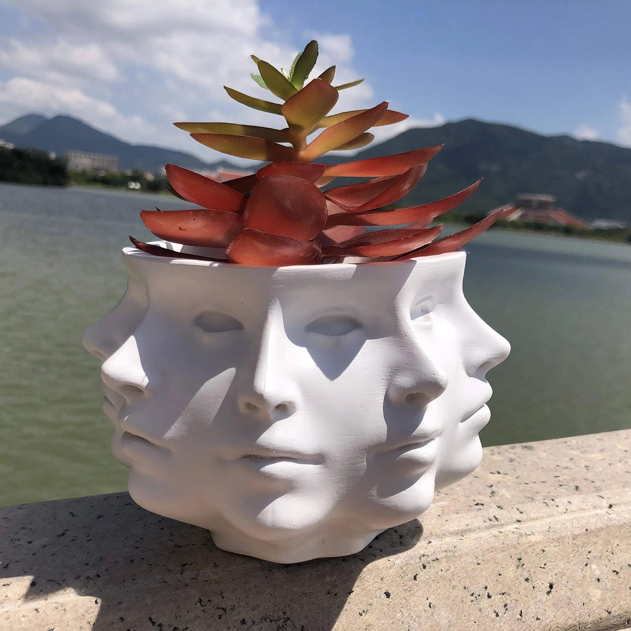 Nine-Sided Face Succulent Planter Vase | Image