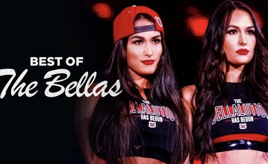 the-best-of-wwe-best-of-the-bellas-4422913-1