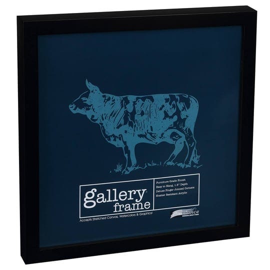 ambiance-gallery-wood-frame-single-18x18-black-1