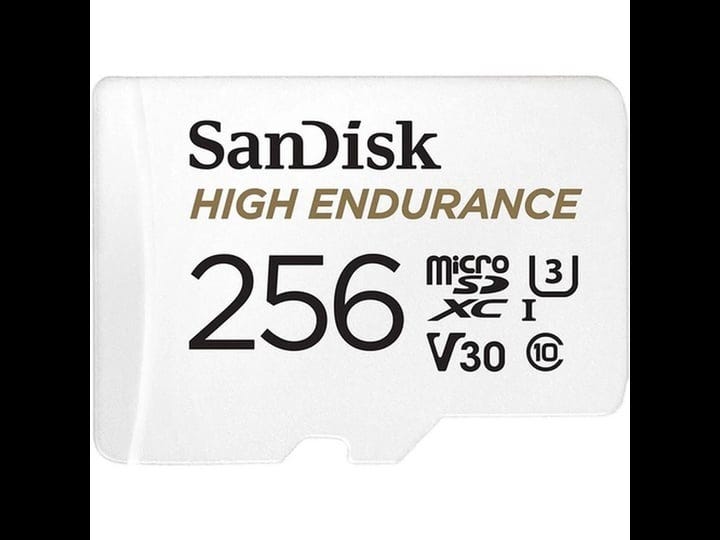 sandisk-high-endurance-microsdhc-card-256gb-1