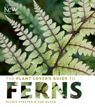 the-plant-lovers-guide-to-ferns-246303-1