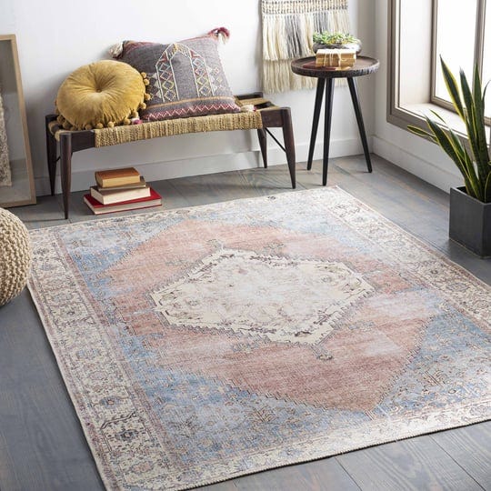 hauteloom-sacriston-washable-runner-rug-clearance-27-x-16-runner-1