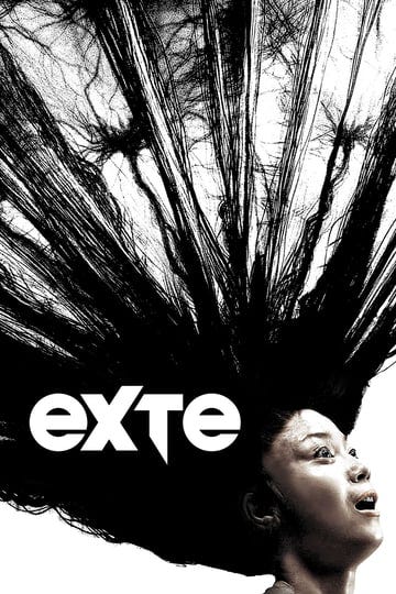 exte-hair-extensions-4423786-1