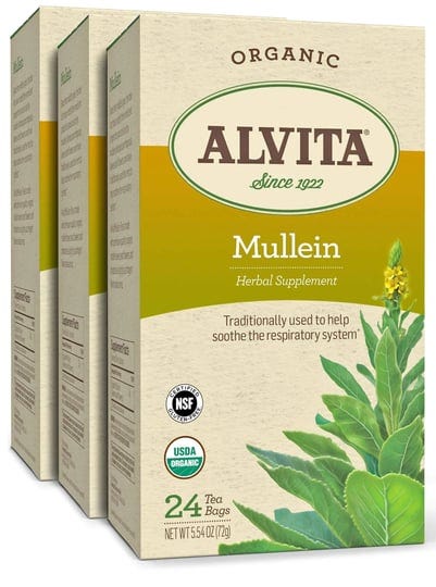 alvita-organic-mullein-herbal-tea-made-with-premium-quality-organic-mullein-leaves-and-flowers-and-s-1