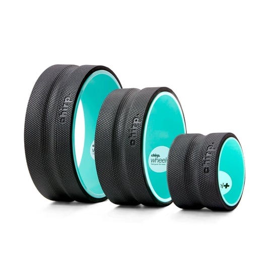 chirp-wheel-3-pack-1