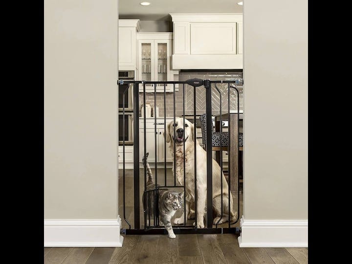 carlson-pet-products-black-extra-tall-gate-with-pet-door-1