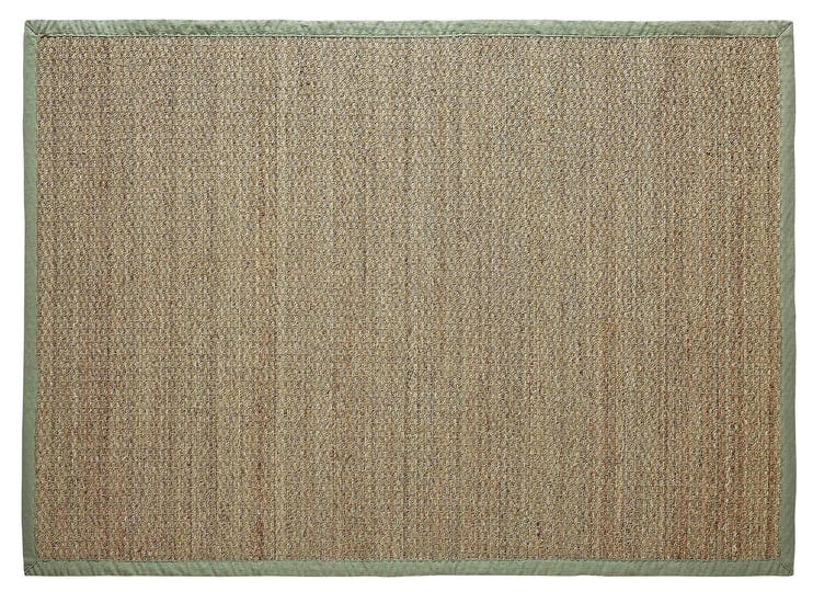 chesapeake-seagrass-area-rug-sage-size-5-x-7-ft-1