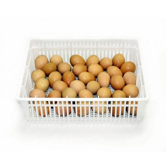 hatching-time-egg-basket-35-eggs-cs35y-1