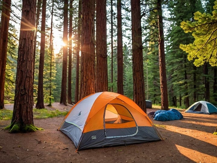 Big-Agnes-Yahmonite-Tent-3