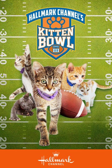 kitten-bowl-iii-5025755-1